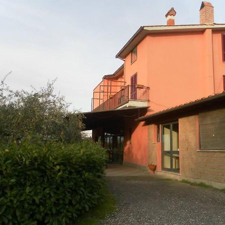 Il Contado B&B Castel Sant'Elia Dış mekan fotoğraf