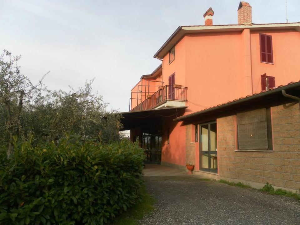 Il Contado B&B Castel Sant'Elia Dış mekan fotoğraf