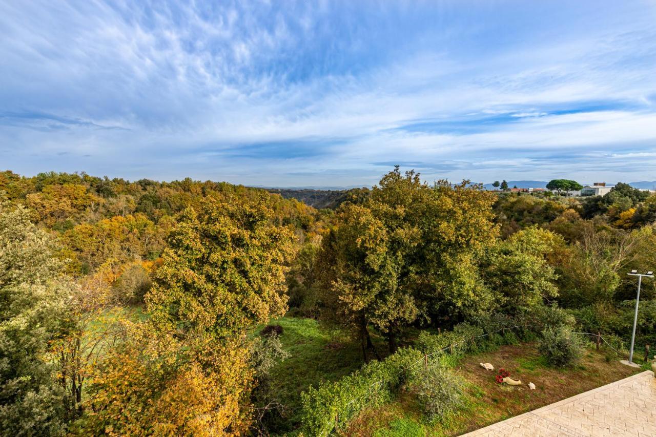 Il Contado B&B Castel Sant'Elia Dış mekan fotoğraf