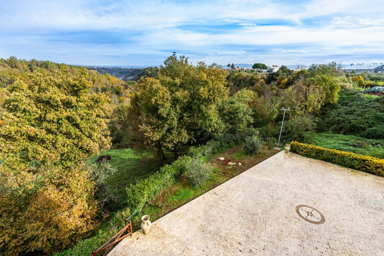 Il Contado B&B Castel Sant'Elia Dış mekan fotoğraf